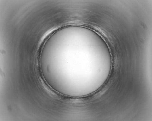 X0000091231458200708091105