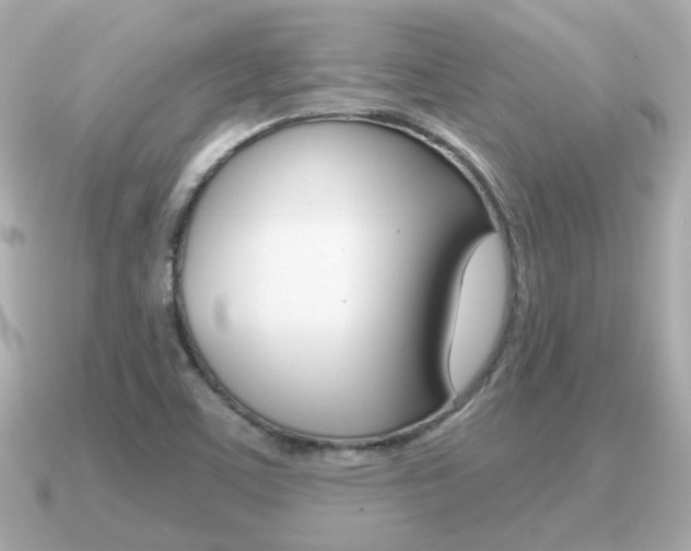 X0000091231459200708091105