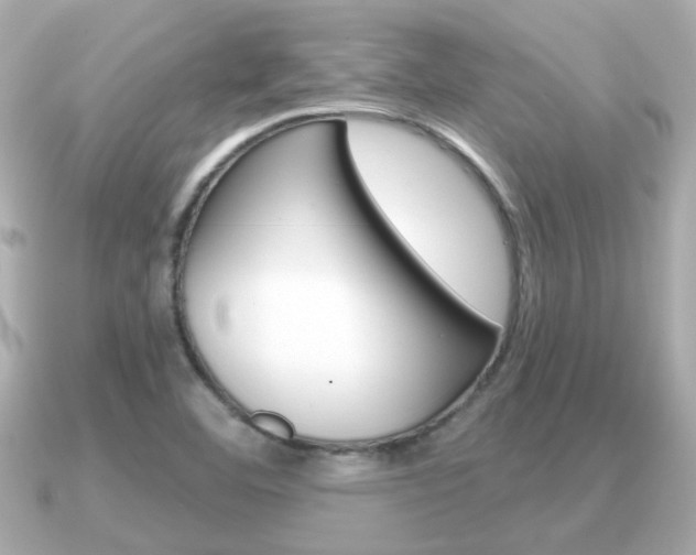 X0000091231460200708091105