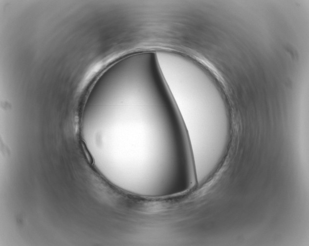 X0000091231461200708091105