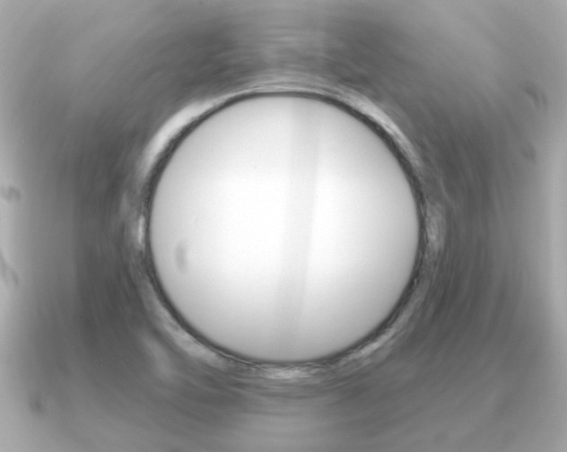 X0000091231462200708091105