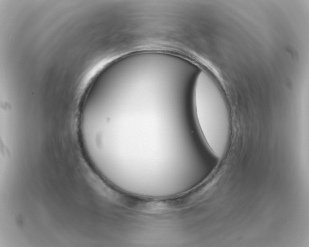 X0000091231463200708091105