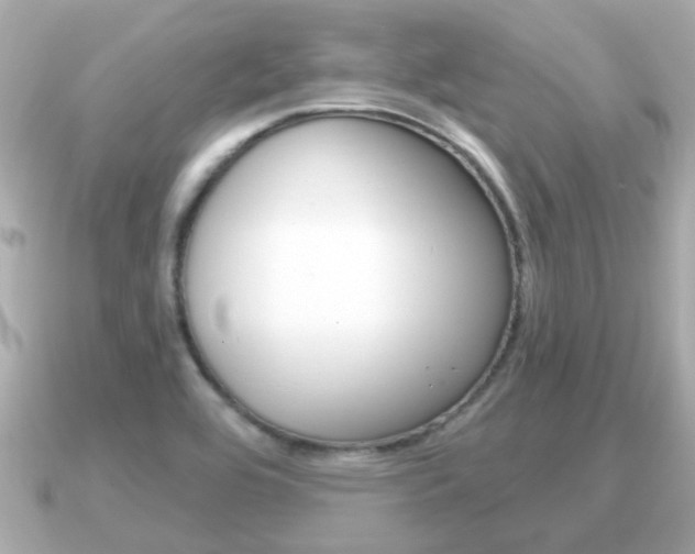 X0000091231464200708091105