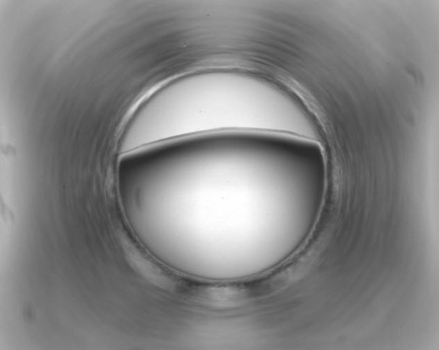 X0000091231465200708091105