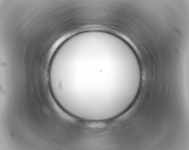 X0000091231466200708091105