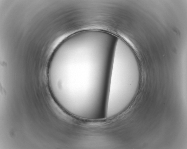 X0000091231468200708091105