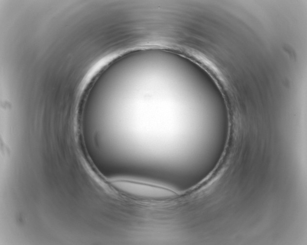 X0000091231469200708091105