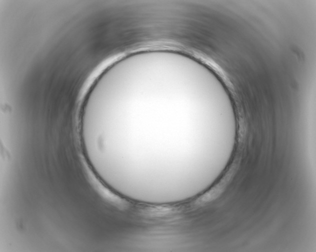 X0000091231470200708091105