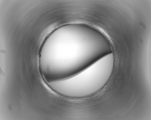 X0000091231476200708091104