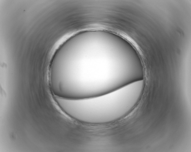 X0000091231477200708091104