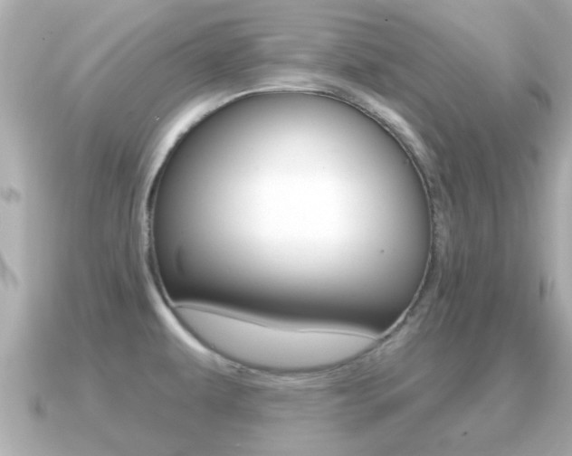 X0000091231479200708091104