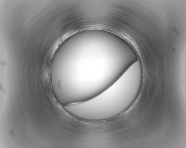 X0000091231481200708091104