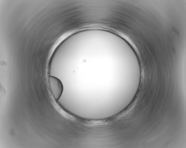 X0000091231482200708091104