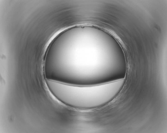 X0000091231484200708091104