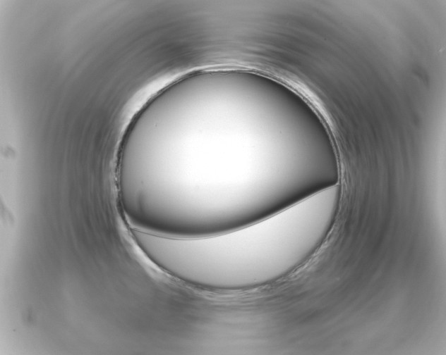 X0000091231485200708091104