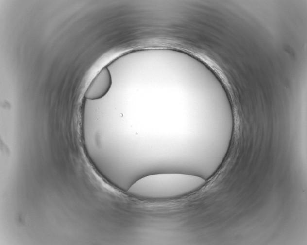 X0000091231486200708091104