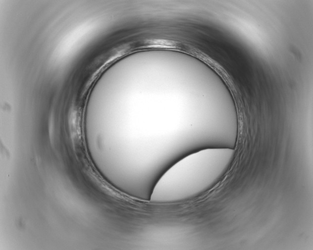 X0000091231487200708091104