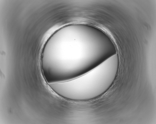 X0000091231488200708091104