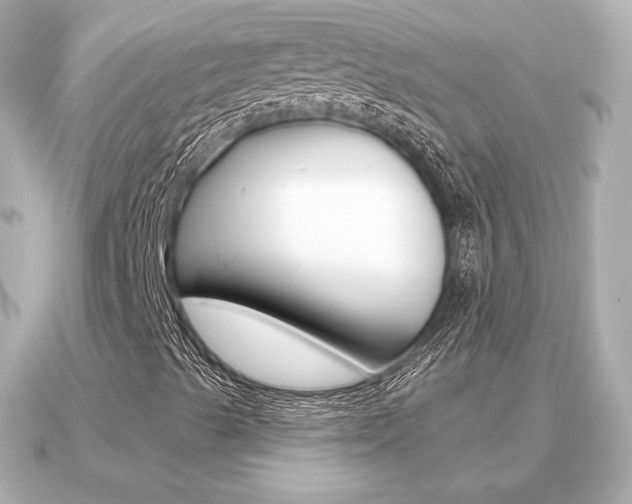 X0000091231489200708091104
