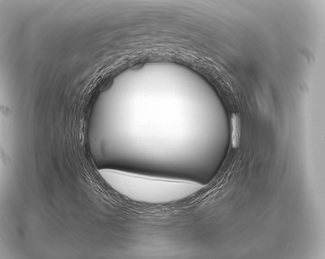 X0000091231491200708091104