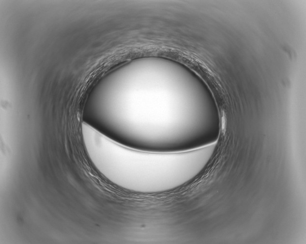X0000091231492200708091104