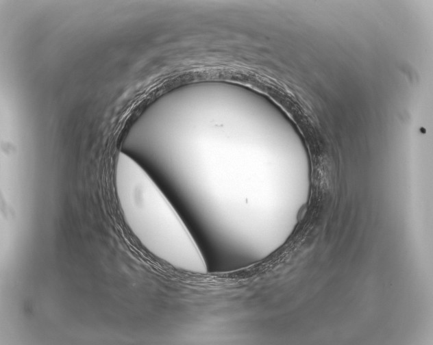 X0000091231493200708091104