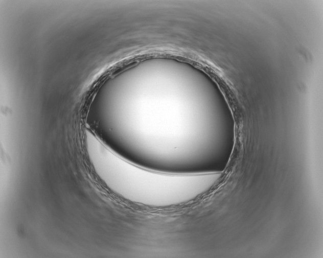 X0000091231496200708091104