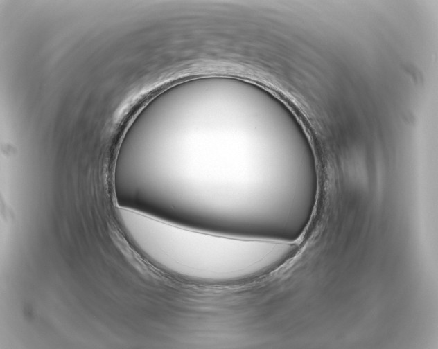 X0000091231499200708091104