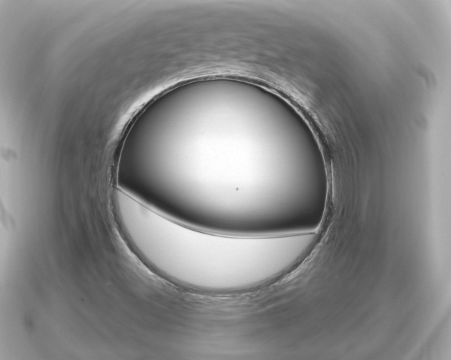 X0000091231500200708091104