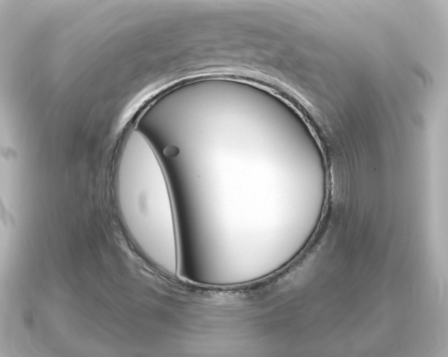 X0000091231501200708091104