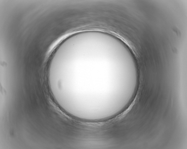 X0000091231502200708091104