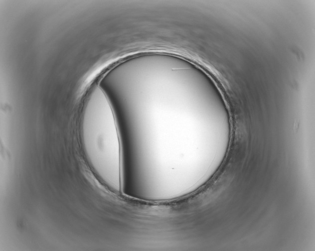 X0000091231503200708091104