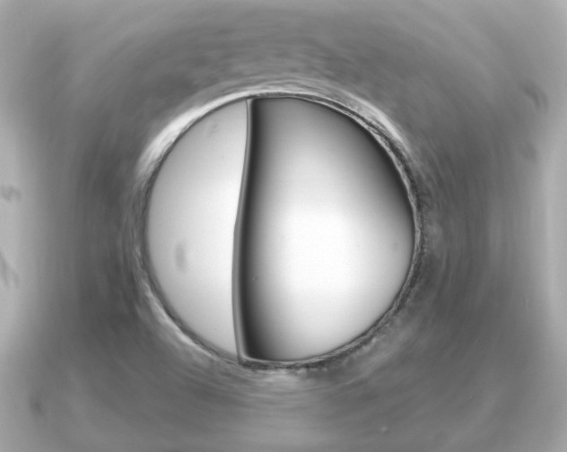 X0000091231504200708091104