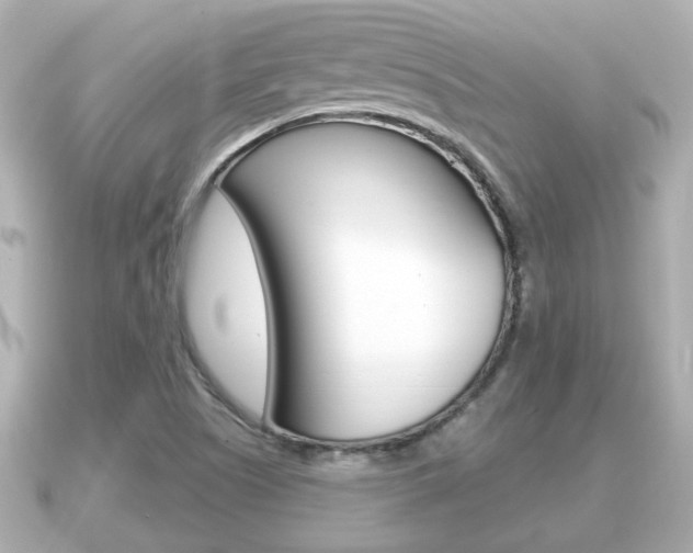 X0000091231505200708091104