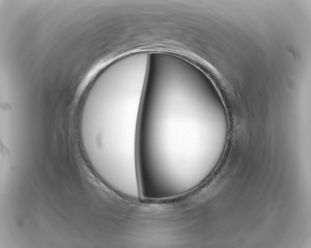 X0000091231506200708091104