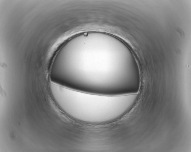 X0000091231507200708091104