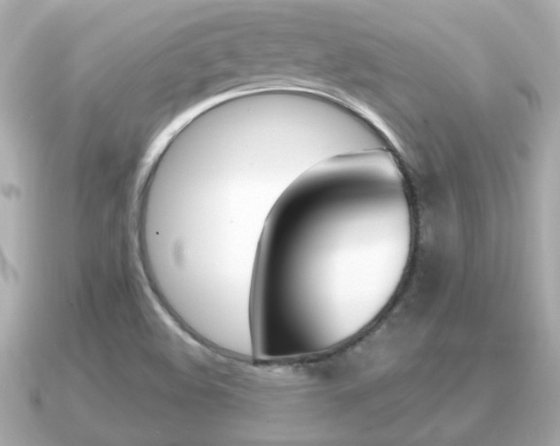 X0000091231508200708091104