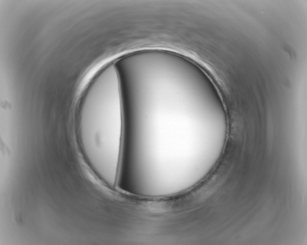 X0000091231511200708091104