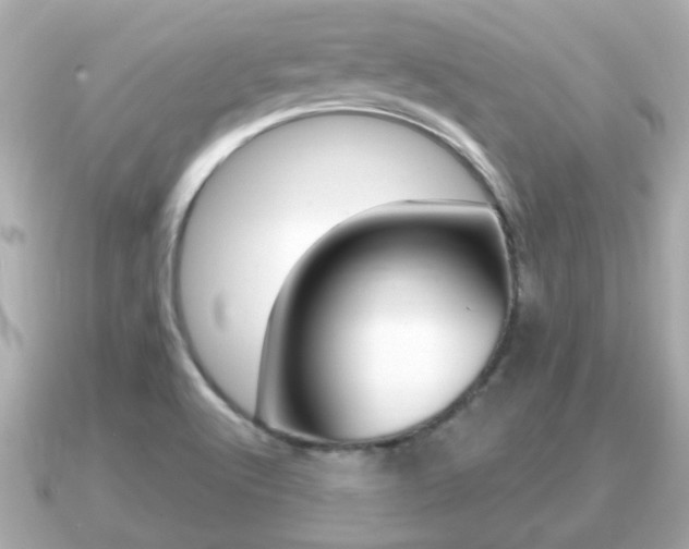 X0000091231512200708091104