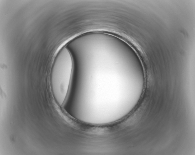 X0000091231513200708091104