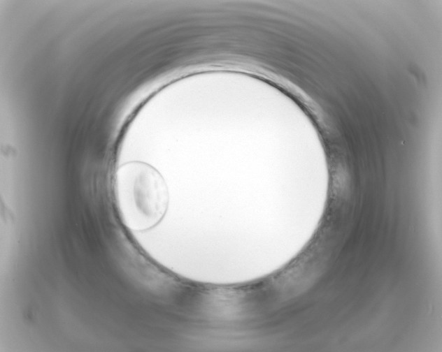 X0000091231514200708091104