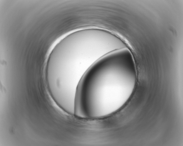 X0000091231516200708091104