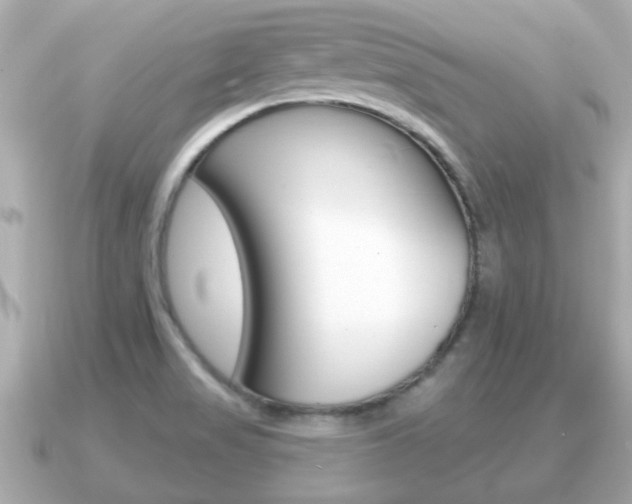 X0000091231517200708091104