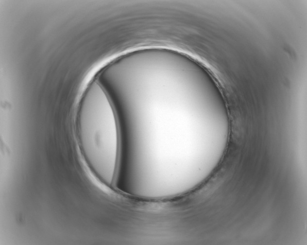 X0000091231519200708091104