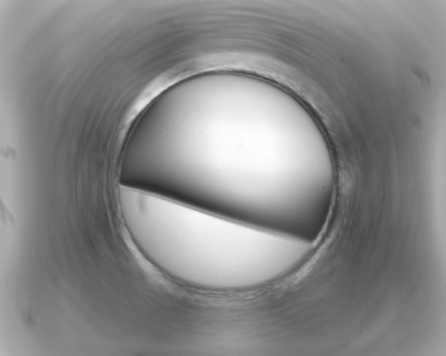 X0000091231521200708091104