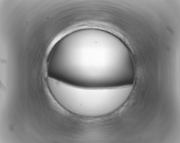 X0000091231522200708091104