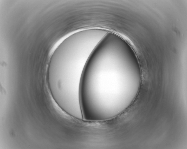 X0000091231524200708091104