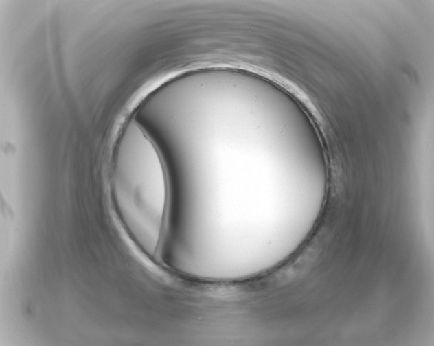 X0000091231525200708091104