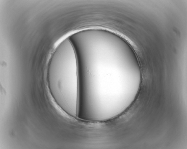 X0000091231526200708091104