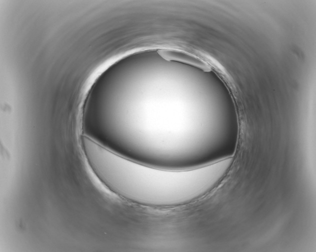 X0000091231528200708091104